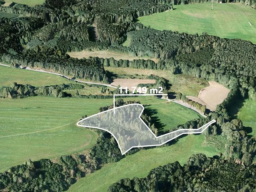 Prodej lesa 11749 m²